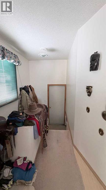 8029 Twp 102, Seven Persons, Alberta  T0K 1Z0 - Photo 11 - A2277832