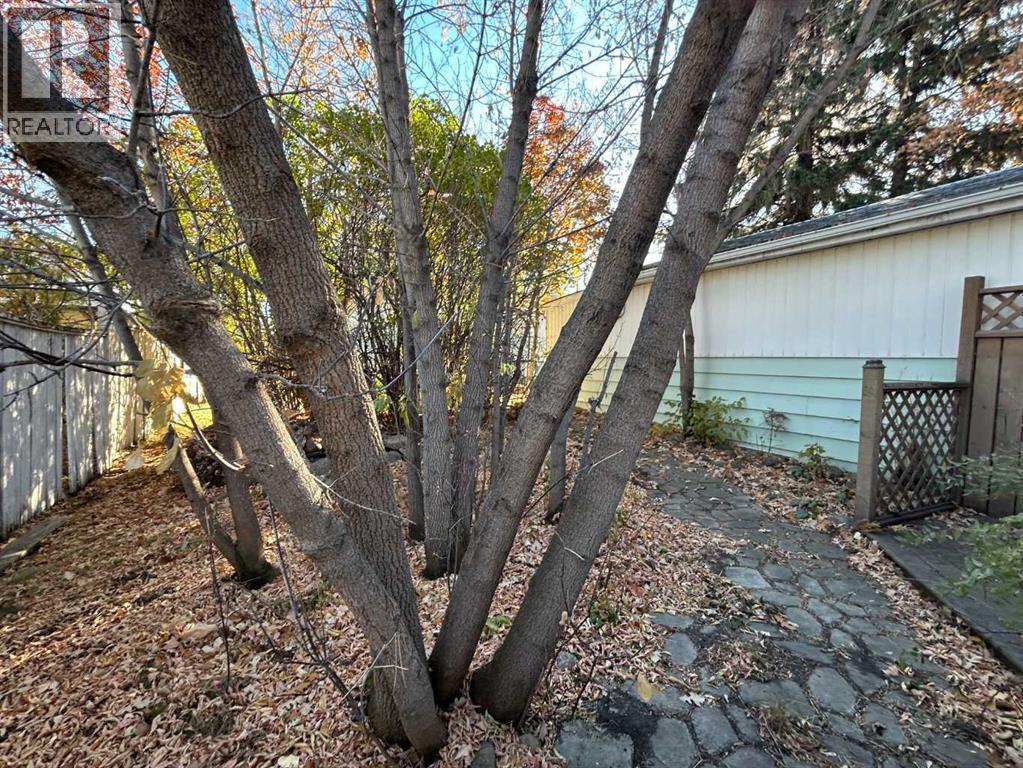 4516 46 Street, Camrose, Alberta  T4V 1G1 - Photo 27 - A2265289