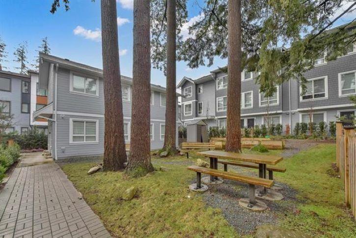 27 12830 62 Avenue, Surrey, British Columbia  V3X 0K8 - Photo 4 - R3078125
