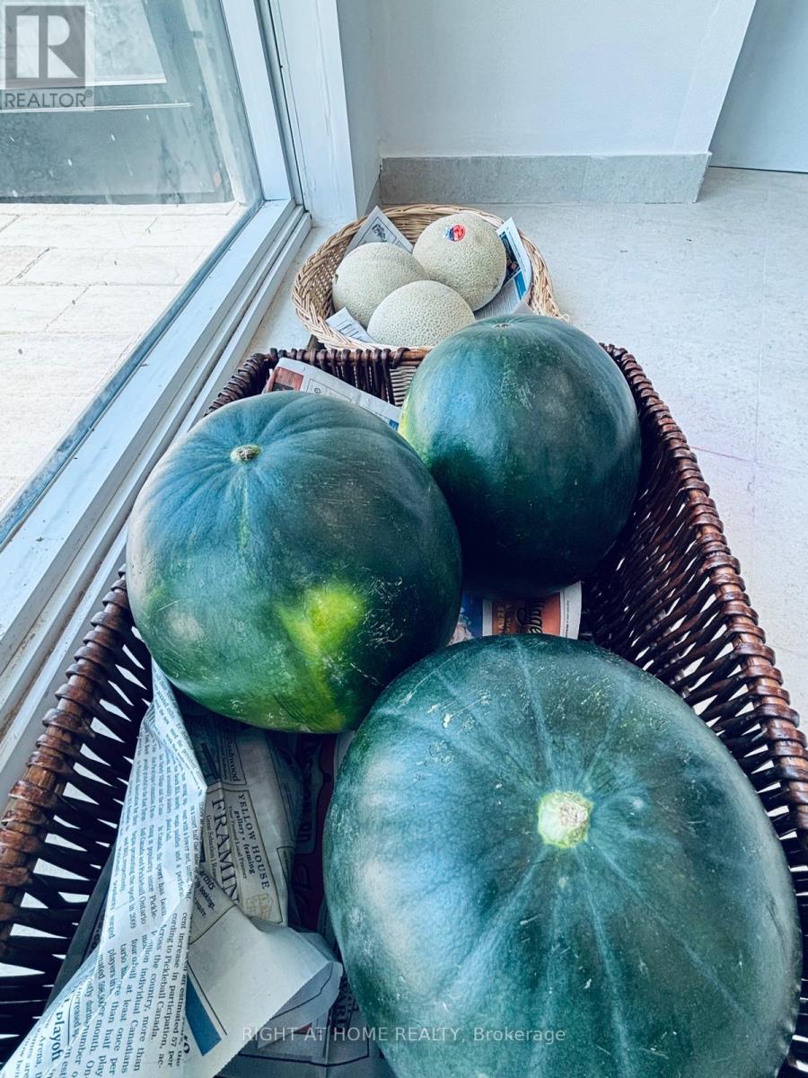 117 - 2201 Kingston Rd Road, Toronto, Ontario  M1N 1T7 - Photo 11 - E12702012