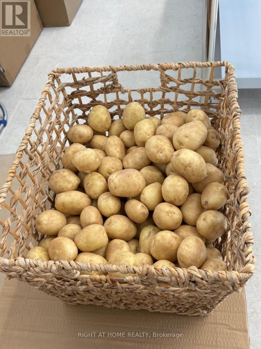 117 - 2201 Kingston Rd Road, Toronto, Ontario  M1N 1T7 - Photo 15 - E12702012