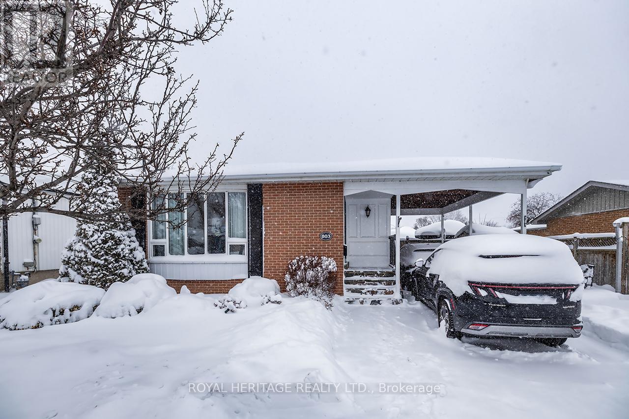 803 Oliva Street, Pickering (West Shore), Ontario  L1W 2V9 - Photo 23 - E12702016