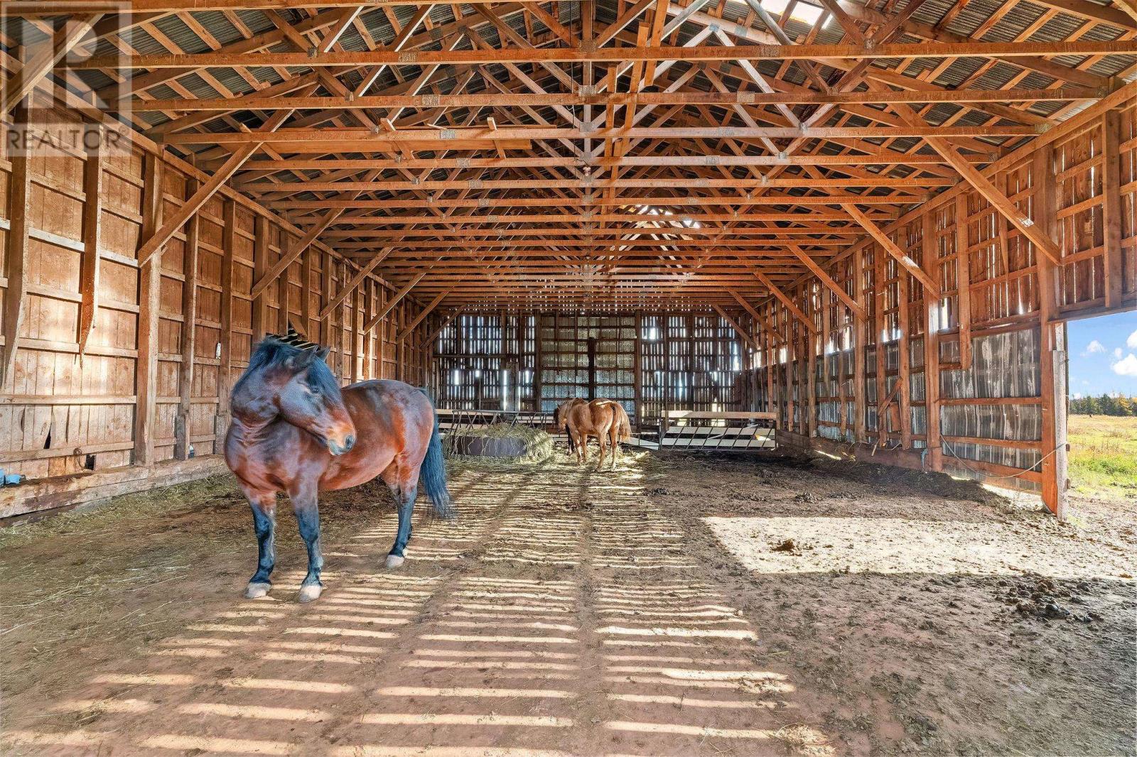 279 Primrose Road, Cardigan, Prince Edward Island  C0A 1G0 - Photo 29 - 202527887