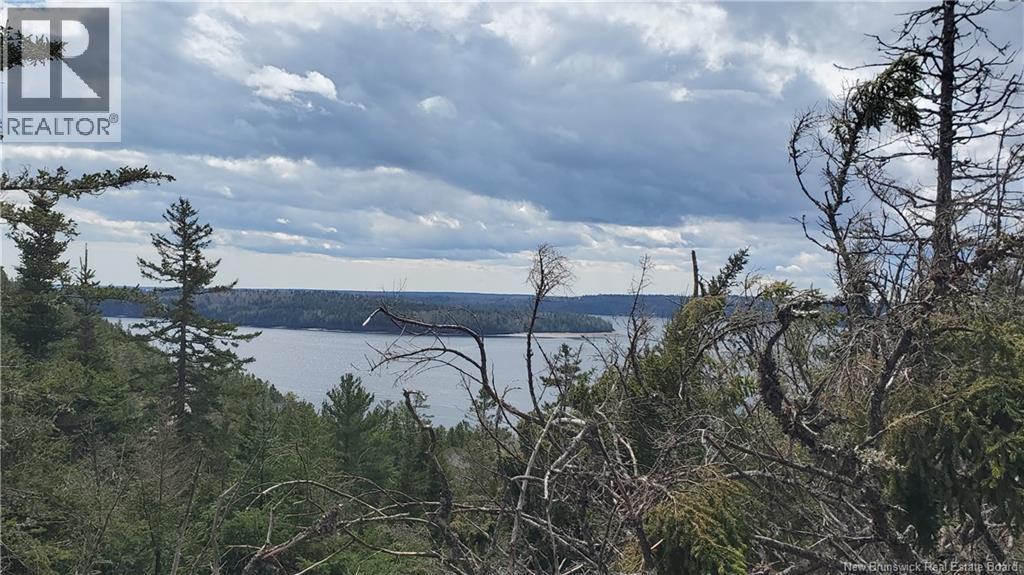 Cunningham Beach Dock Road, Chamcook, New Brunswick  E5B 0A9 - Photo 11 - NB132266