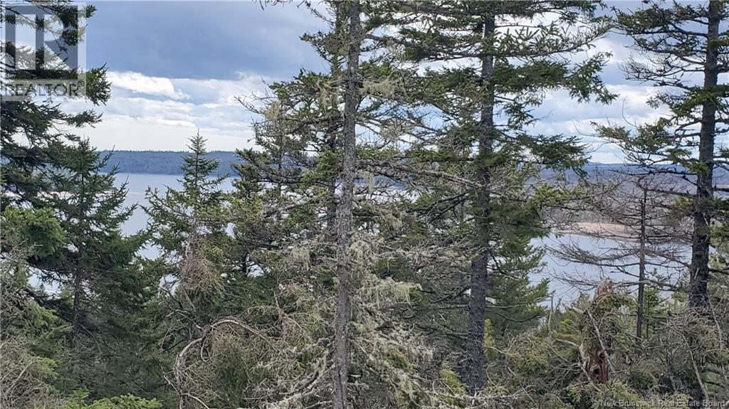 Cunningham Beach Dock Road, Chamcook, New Brunswick  E5B 0A9 - Photo 10 - NB132266