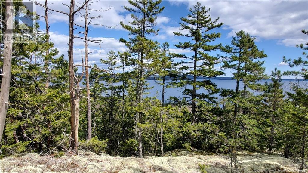 Cunningham Beach Dock Road, Chamcook, New Brunswick  E5B 0A9 - Photo 7 - NB132266