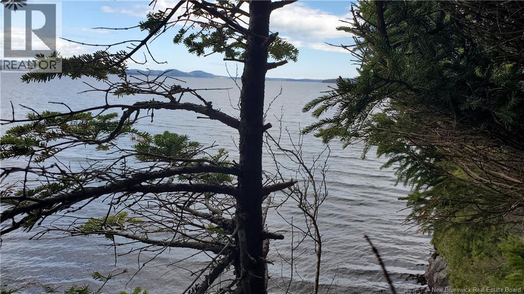 Cunningham Beach Dock Road, Chamcook, New Brunswick  E5B 0A9 - Photo 12 - NB132266