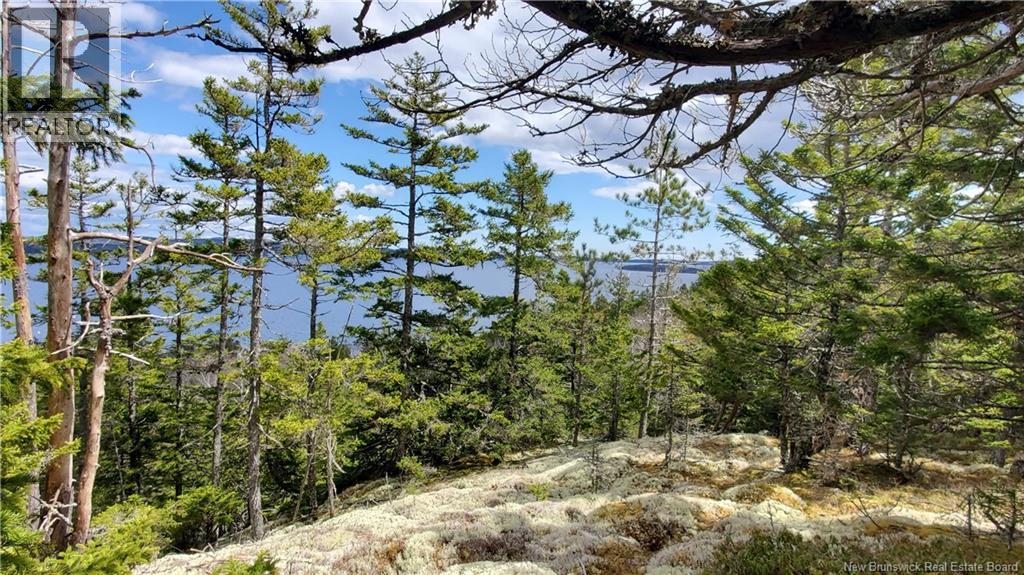 Cunningham Beach Dock Road, Chamcook, New Brunswick  E5B 0A9 - Photo 13 - NB132266