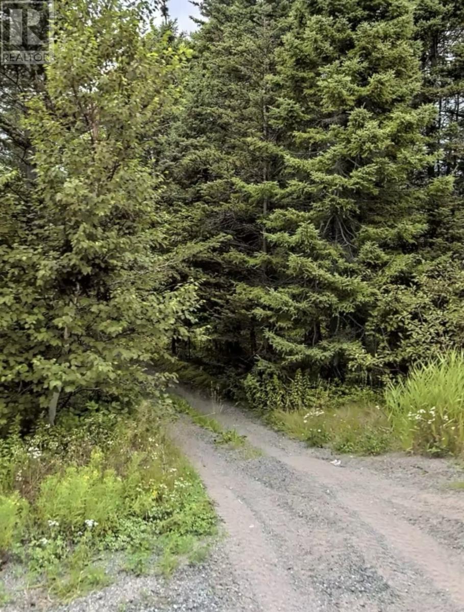 147 Bayside Drive, Lethbridge, Newfoundland & Labrador  A0C 1V0 - Photo 2 - 1293388