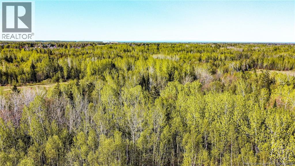 1 St Anne Street, Bathurst, New Brunswick  E2A 6X2 - Photo 5 - NB132252