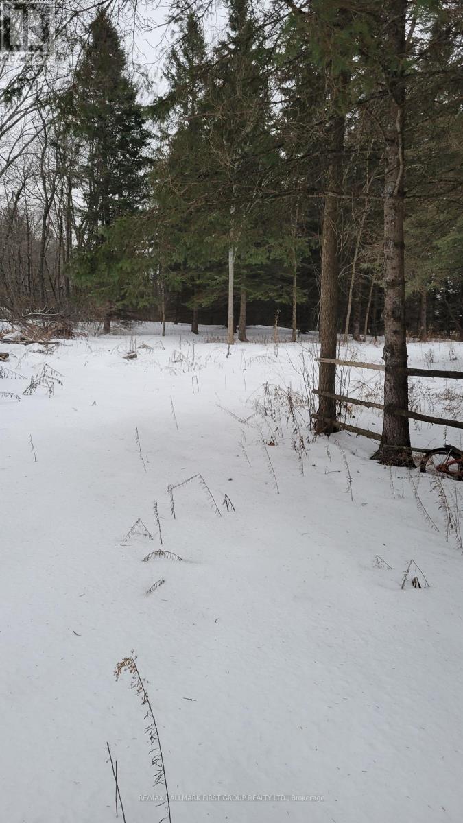 8 St. Marks Road, Stirling-Rawdon (Rawdon Ward), Ontario  K0K 2M0 - Photo 15 - X12665330