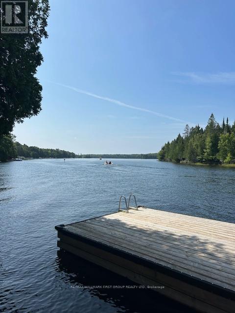 94 Everett Road, Kawartha Lakes, Ontario  K0K 1K0 - Photo 36 - X12682648