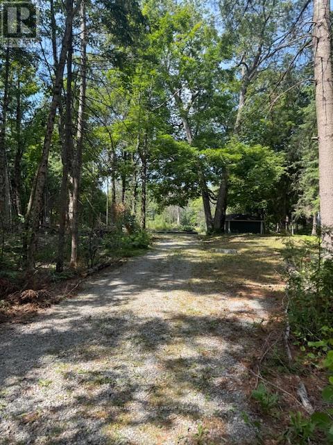 94 Everett Road, Kawartha Lakes, Ontario  K0K 1K0 - Photo 35 - X12682648