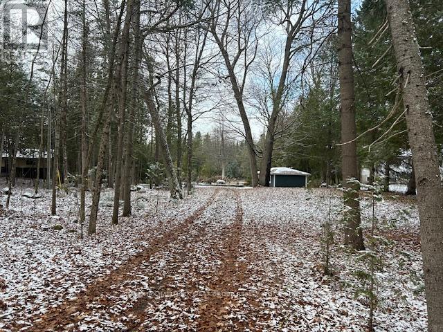 94 Everett Road, Kawartha Lakes, Ontario  K0K 1K0 - Photo 37 - X12682648