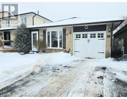 15 ANDREW AVENUE, Orangeville, Ontario