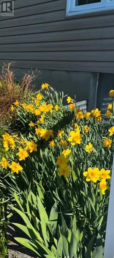 14 Cedar Grove Drive, Tehkummah, Ontario  P0P 2C0 - Photo 35 - 2125840