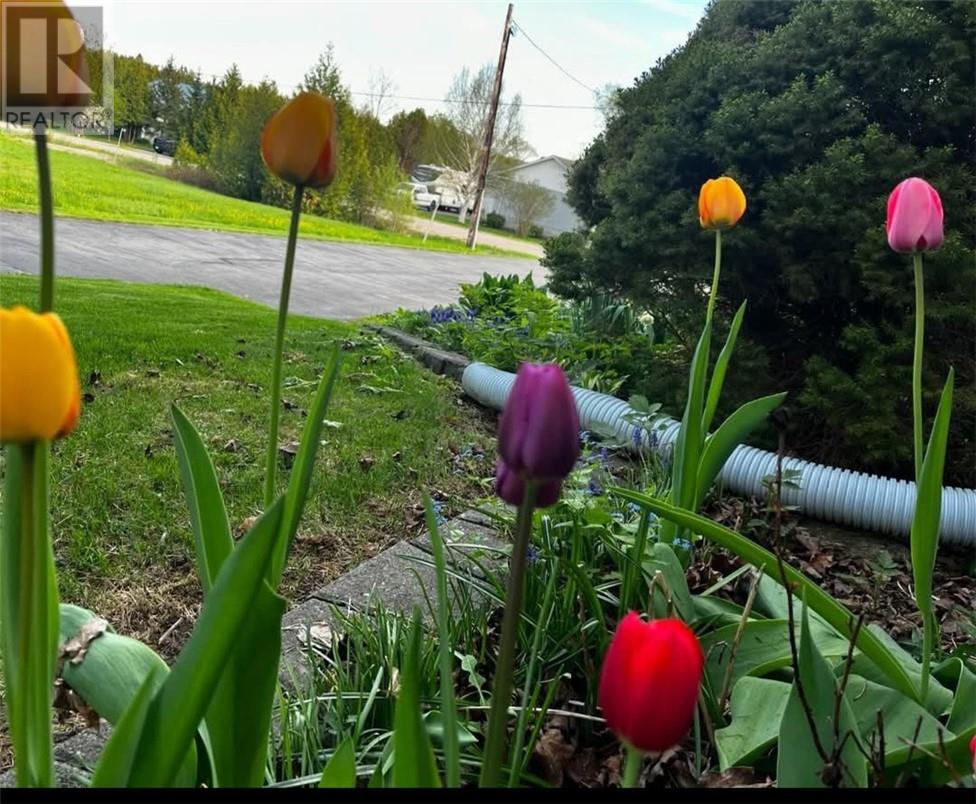 14 Cedar Grove Drive, Tehkummah, Ontario  P0P 2C0 - Photo 36 - 2125840