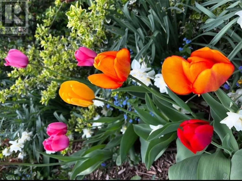 14 Cedar Grove Drive, Tehkummah, Ontario  P0P 2C0 - Photo 37 - 2125840