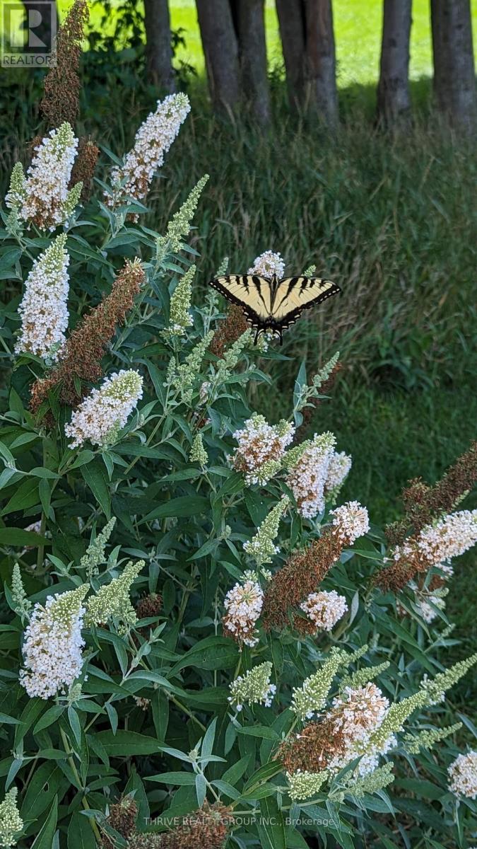 43399 Sparta Line, Central Elgin, Ontario  N5P 3S8 - Photo 38 - X12702338