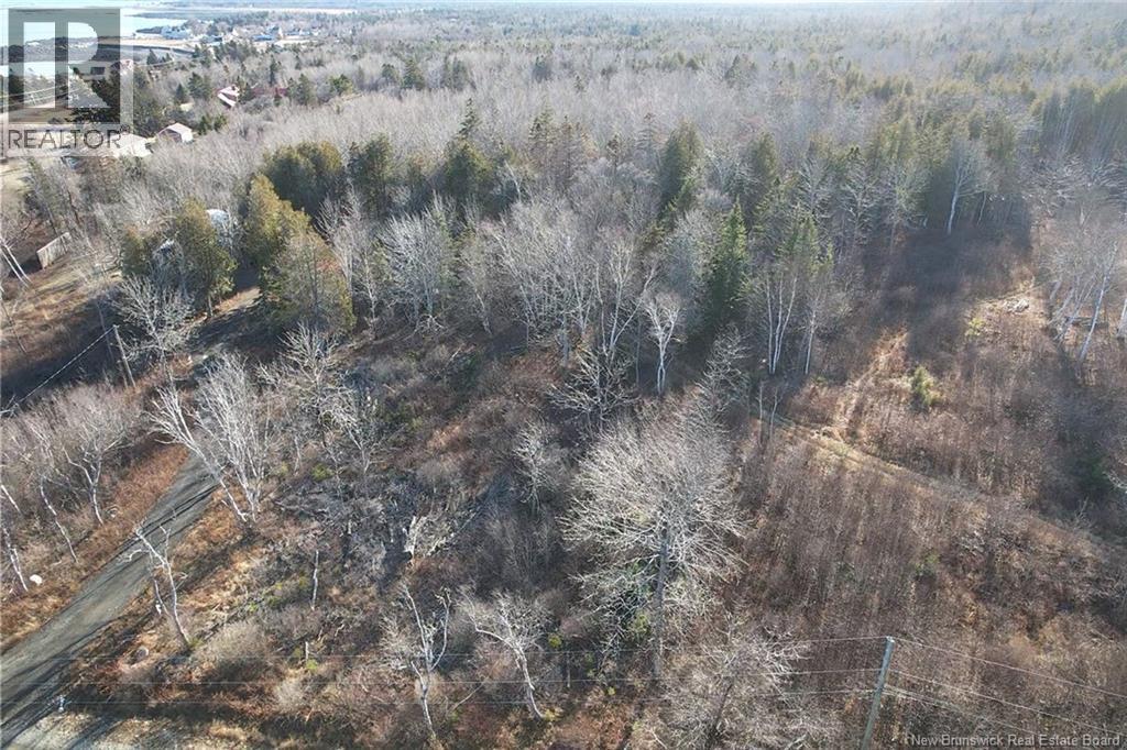 Wellington Drive, Grand Manan, New Brunswick  E5G 1M8 - Photo 6 - NB132240