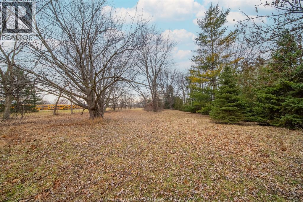 1256 Highway 2, Emeryville, Ontario  N0R 1C0 - Photo 33 - 26001158