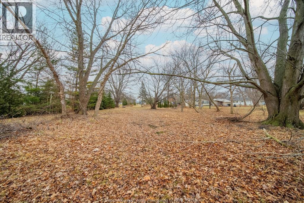 1256 Highway 2, Emeryville, Ontario  N0R 1C0 - Photo 40 - 26001158