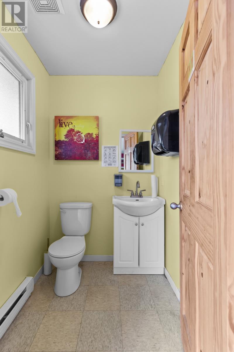 546 Salmonier Line, Holyrood, Newfoundland & Labrador  A0A 2R0 - Photo 27 - 1293837