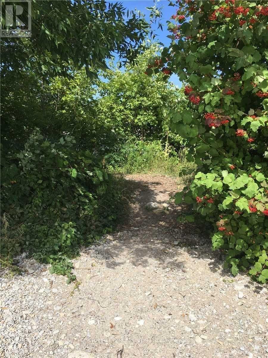 81 Bayshore Drive, Ramara, Ontario  L0K 1B0 - Photo 3 - S12702456