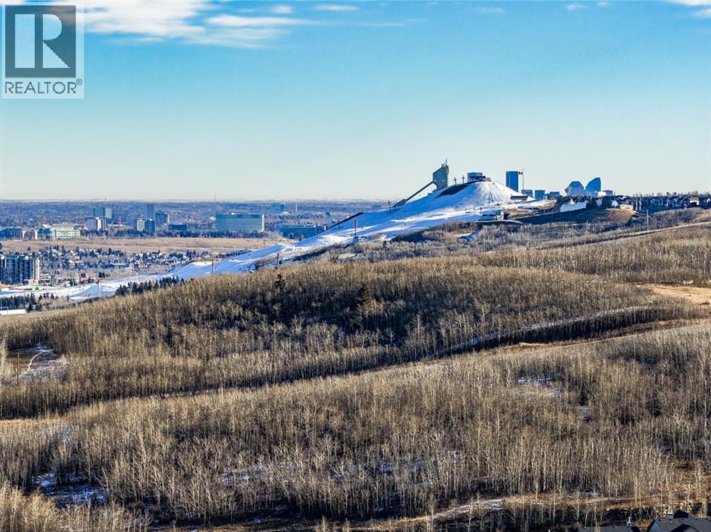 104 Crestridge Common Sw, Calgary, Alberta  T3B 6J5 - Photo 43 - A2279134