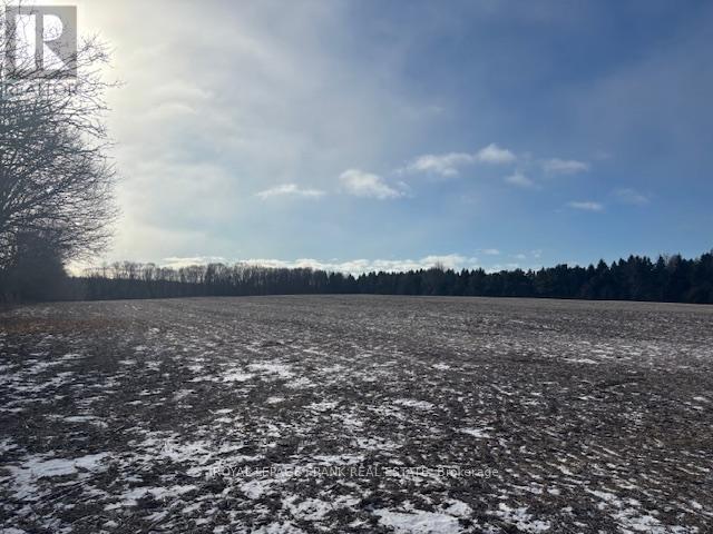 2748 Golf Course Road, Clarington, Ontario  L1B 0N8 - Photo 13 - E12702948