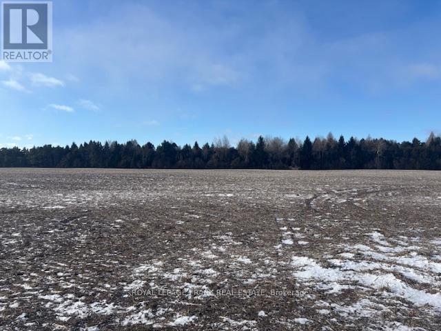 2748 Golf Course Road, Clarington, Ontario  L1B 0N8 - Photo 14 - E12702948