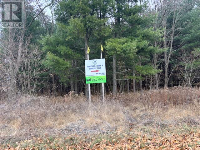 2748 Golf Course Road, Clarington, Ontario  L1B 0N8 - Photo 7 - E12702948