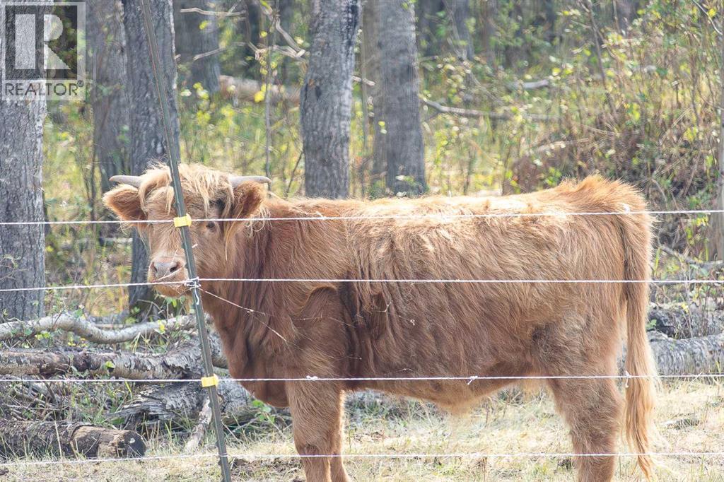 Se-34-52-23-W3 Rm Of Frenchman Butte No. 501, Rural, Saskatchewan  S0M 2G0 - Photo 50 - A2279143