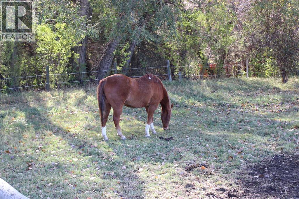 103004 Rr 24-0, Monarch, Alberta  T0L 1M0 - Photo 41 - A2265691