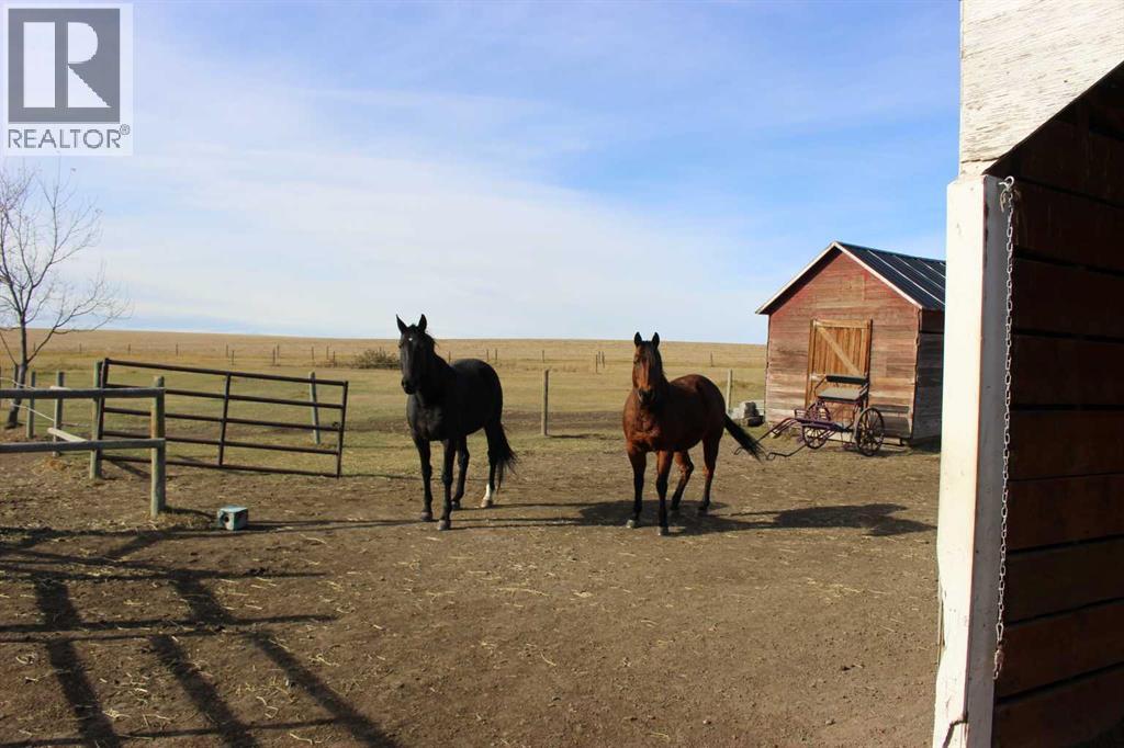 103004 Rr 24-0, Monarch, Alberta  T0L 1M0 - Photo 40 - A2265691