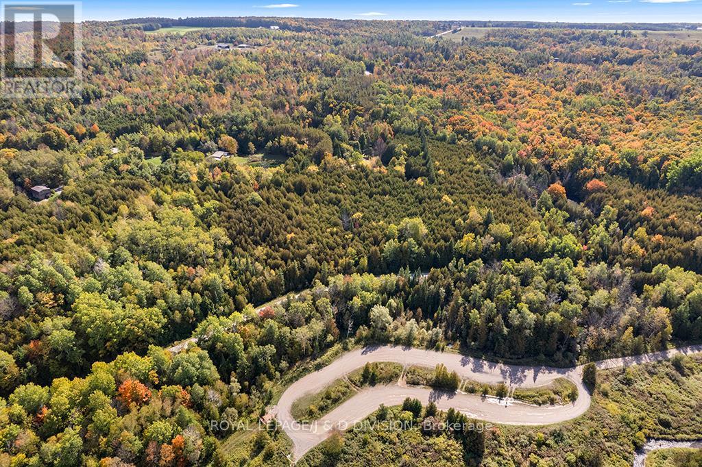 637202 Prince Of Wales Road, Mulmur, Ontario  L0N 1J0 - Photo 48 - X12702734