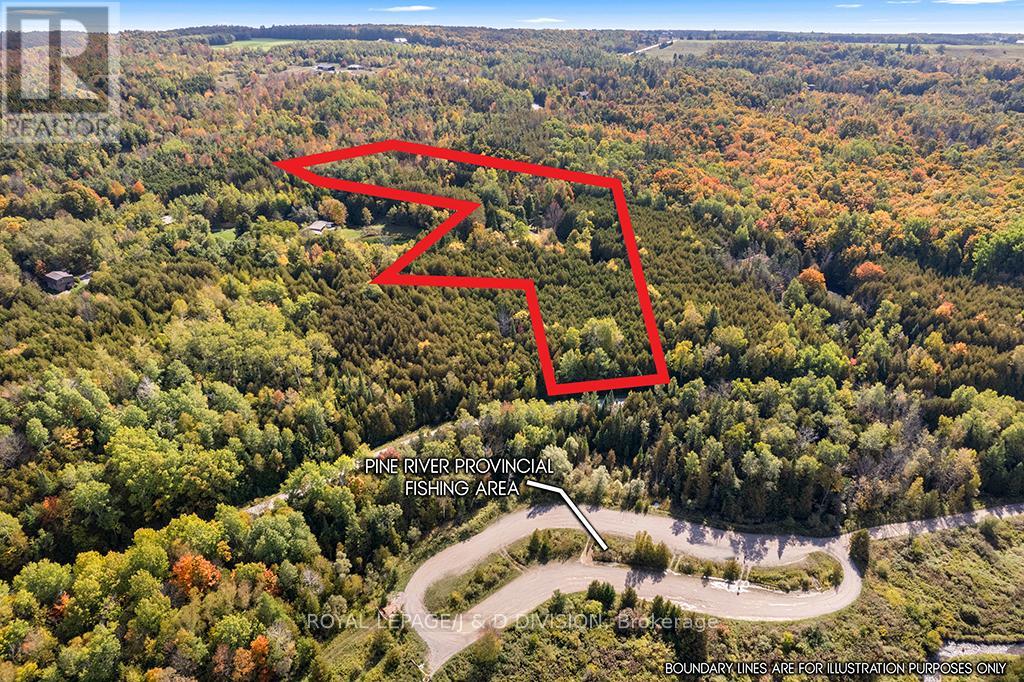 637202 Prince Of Wales Road, Mulmur, Ontario  L0N 1J0 - Photo 49 - X12702734