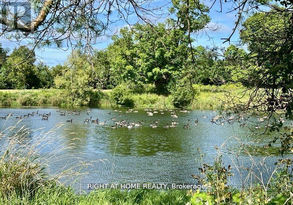 17083 Warden Avenue, Whitchurch-Stouffville, Ontario  L4A 2W1 - Photo 34 - N12702840