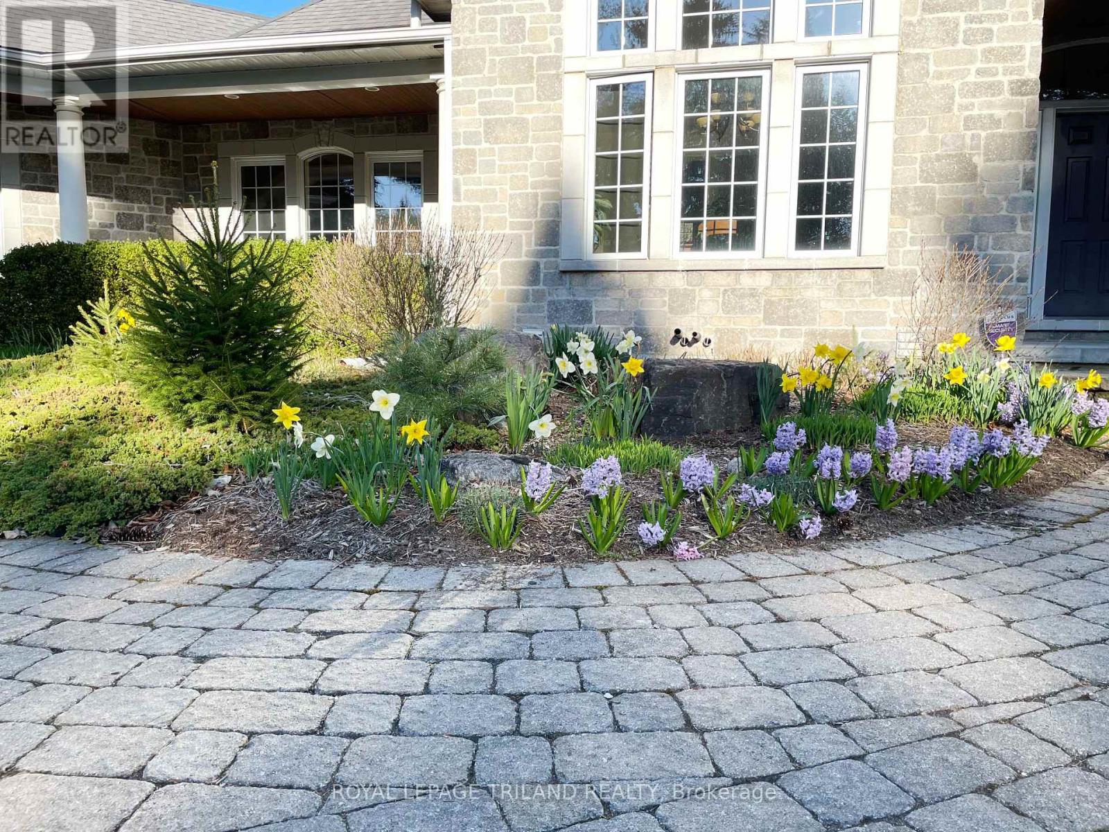 9389 Elviage Drive, London South, Ontario  N6K 4R8 - Photo 5 - X12703182