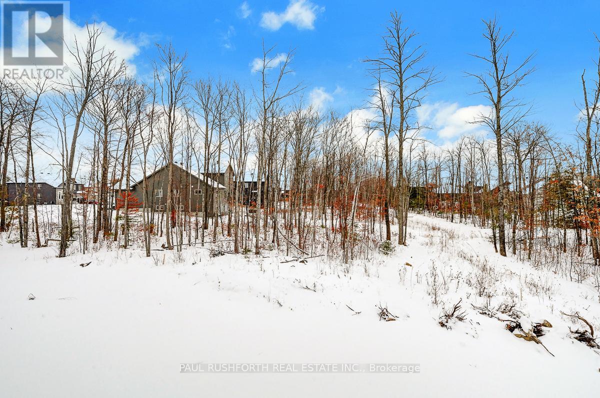 169 Frank Fisher Crescent, Mississippi Mills, Ontario  K0A 1L0 - Photo 22 - X12703444