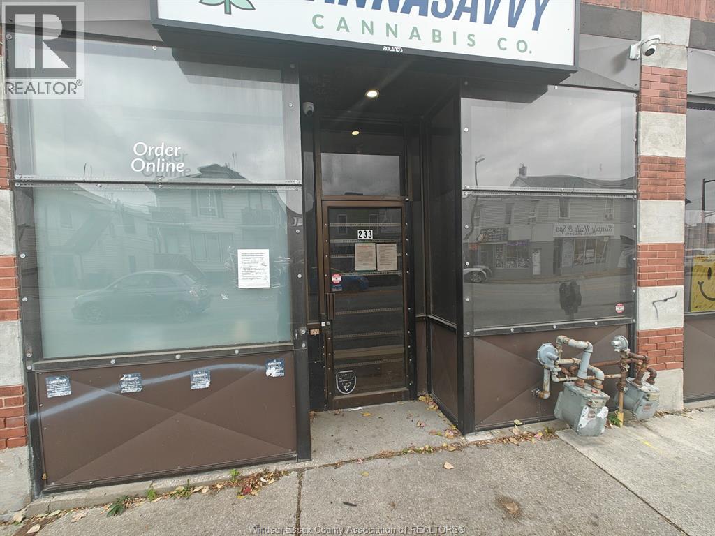 MLS# 26001300: 233 WYANDOTTE STREET East, Windsor, Canada