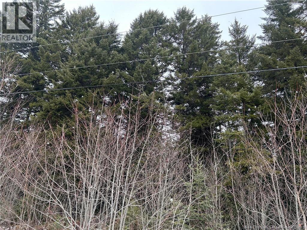 Lot 26-2 Backland Road, Kingston