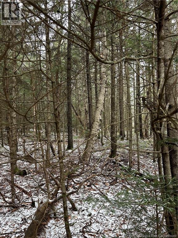 Lot 26-3 Backland Road, Kingston, New Brunswick  E5N 1E2 - Photo 1 - NB132253