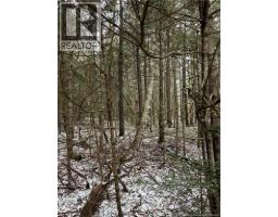 Lot 26-3 Backland Road, kingston, New Brunswick