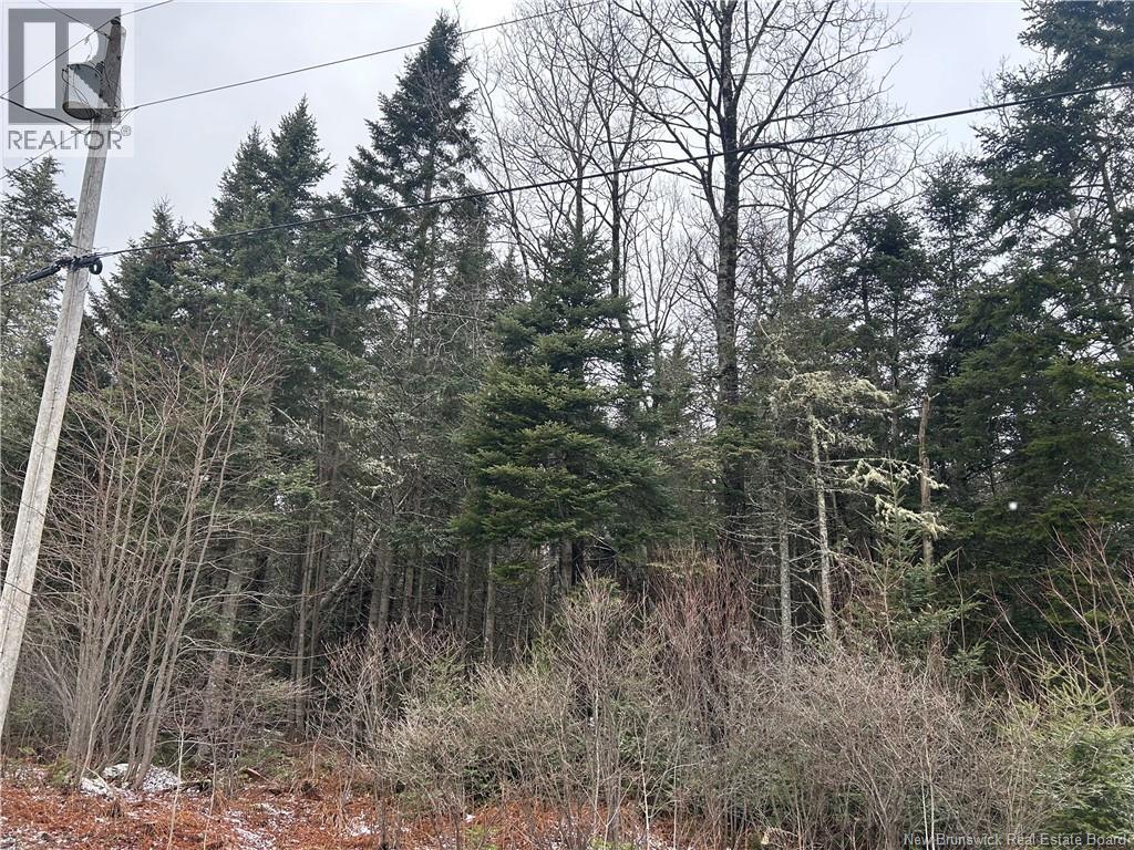 Lot 26-4 Backland, Kingston, New Brunswick  E5N 1E2 - Photo 1 - NB132258