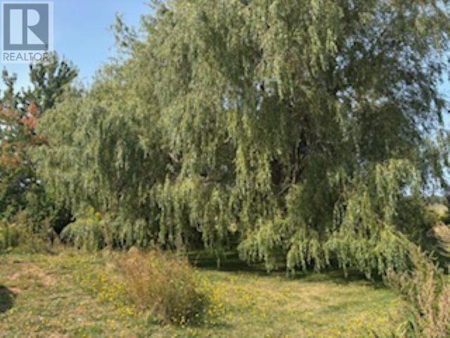 8817 Route 11, Abrams Village, Prince Edward Island  C0B 2E0 - Photo 34 - 202525391