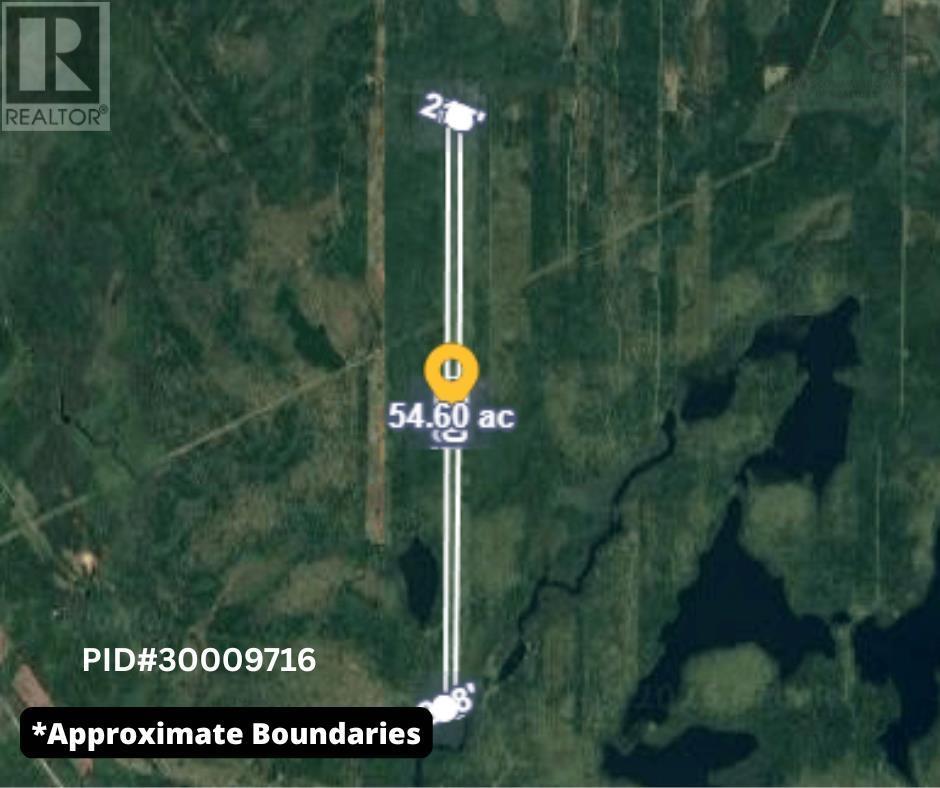 Townshipline Road, Ohio, Nova Scotia  B0W 3T0 - Photo 10 - 202600894