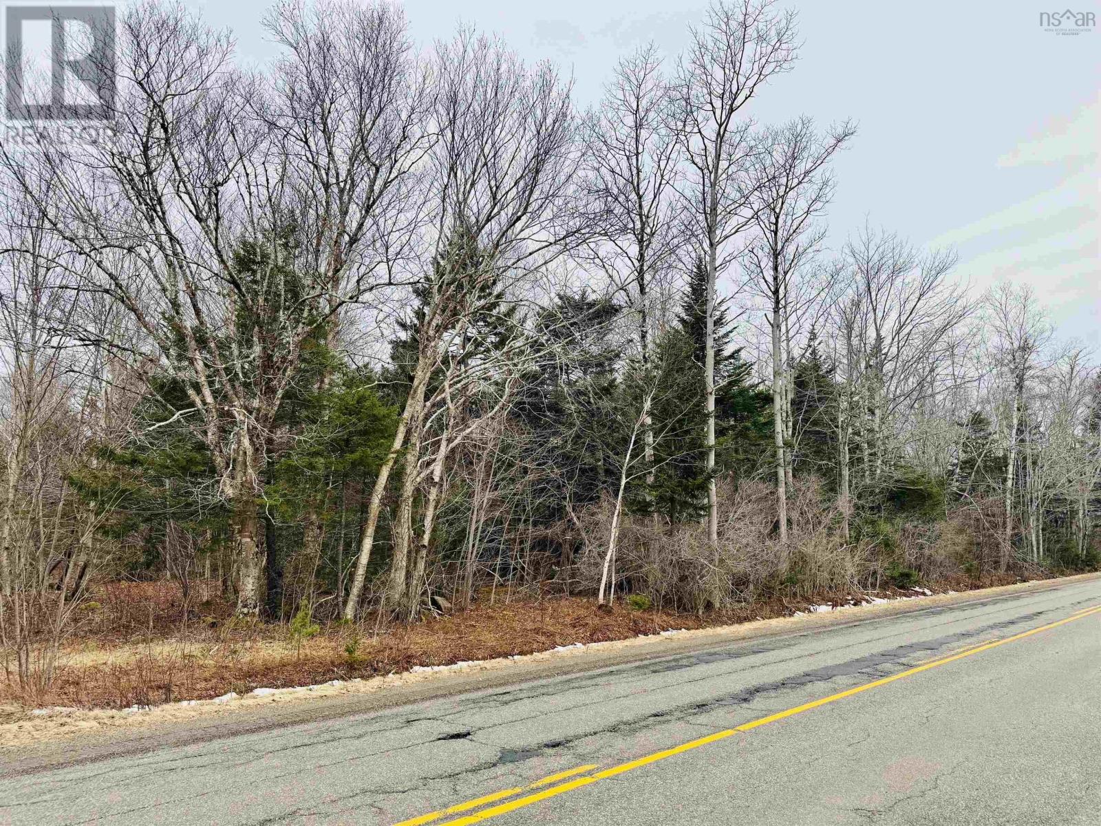 Townshipline Road, Ohio, Nova Scotia  B0W 3T0 - Photo 4 - 202600894