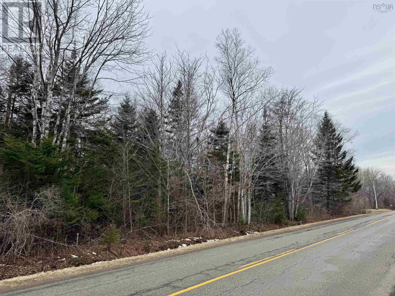 Townshipline Road, Ohio, Nova Scotia  B0W 3T0 - Photo 6 - 202600894