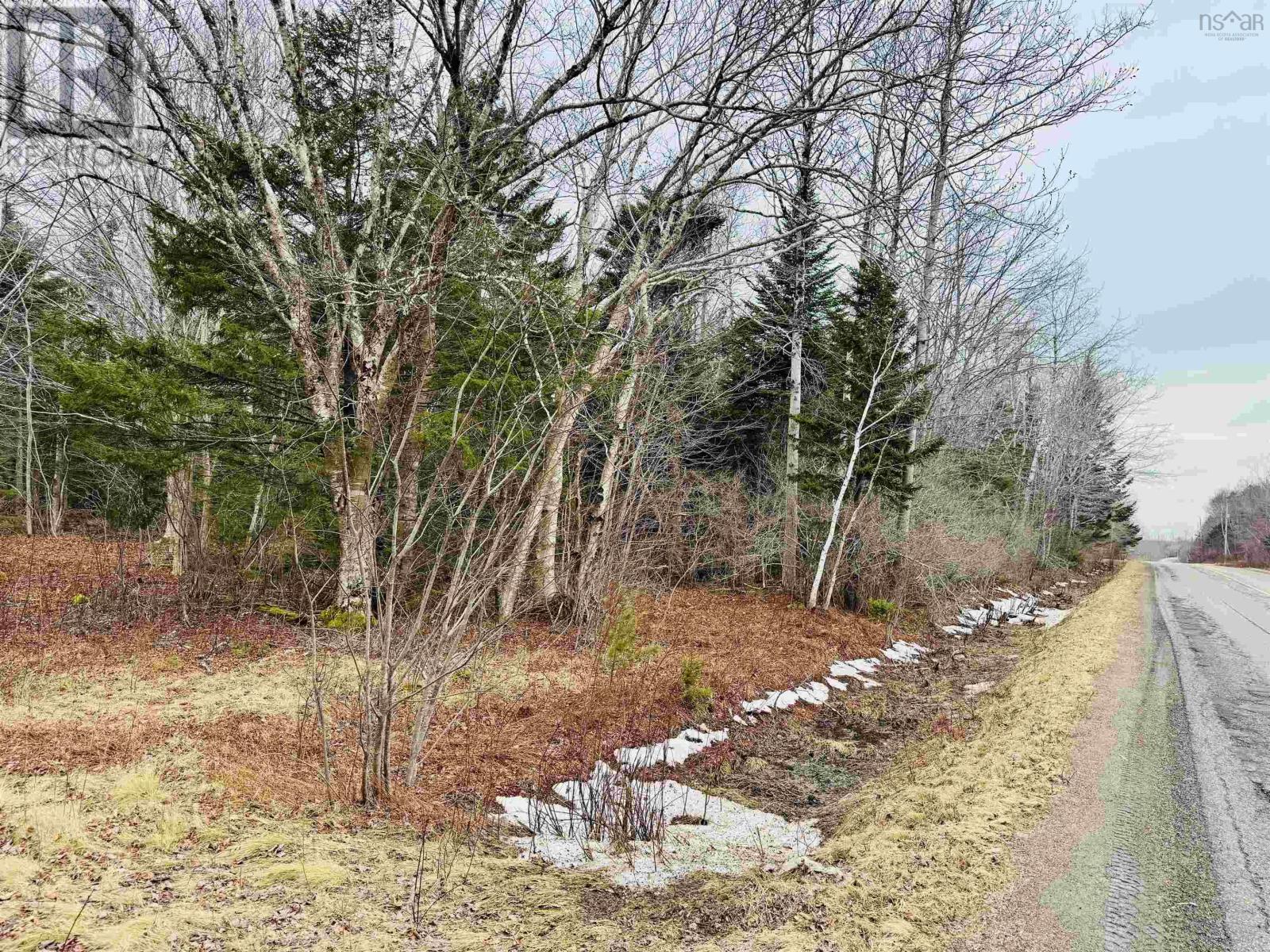 Townshipline Road, Ohio, Nova Scotia  B0W 3T0 - Photo 8 - 202600894